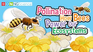 Pollination: How Bees Power Our Ecosystems