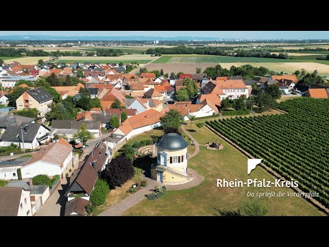 Filmprojekt: Rhein-Pfalz-Kreis – „Wir ernten Musik“