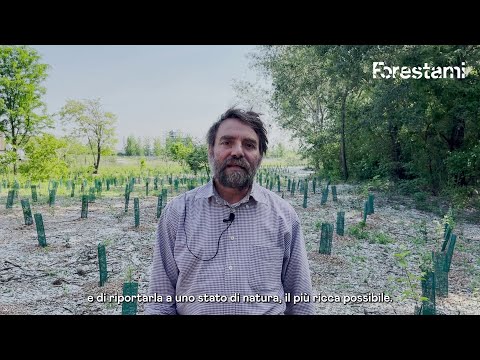 Forestami 2022 - Intervista - Boscoincittà