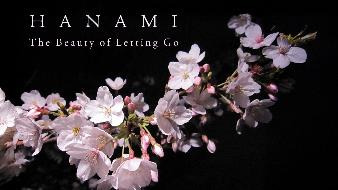 HANAMI : The Beauty of Letting Go