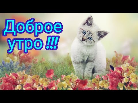 Доброе утро ! красивая открытка с чудесной музыкой