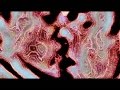 The Hidden Cameras / Carpe Jugular / Improper ...
