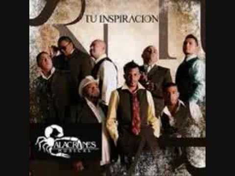 FUE SU AMOR (ALACRANES MUSICAL )