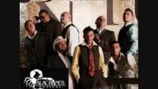 FUE SU AMOR (ALACRANES MUSICAL )