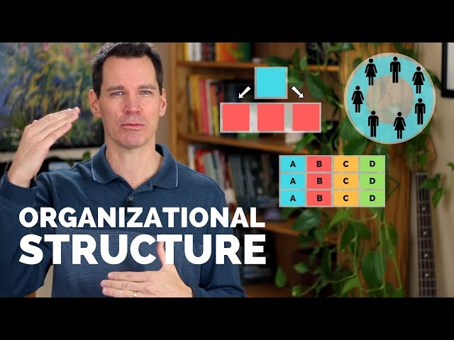 Understanding Organizational Structures: Hierarchy, Team-Based, and ...