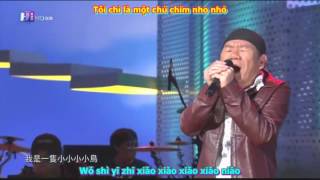 [Vietsub+Pinyin]Tôi là một chú chim nho nhỏ-Triệu Truyền-我是一隻小小鳥