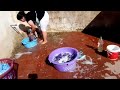 Desi Village My Home Floor Cleaning Bhabhi Aunty Mujra