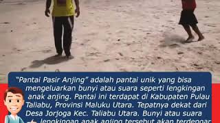preview picture of video 'Keunikan Pantai Pasir Anjing Taliabu, Maluku Utara'