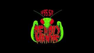 Anglo Girl Desire (radio Birdman cover) By 455 SD