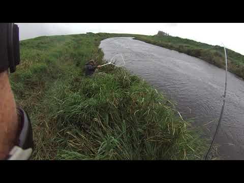 Laks Figgjo 4kg feat. Stefan