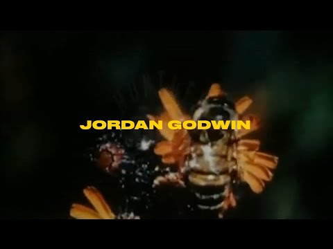 Jordan Godwin - "RAW HONEY" (MPA Cut)