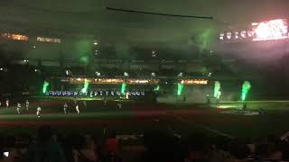 夏の陣 ドラゴンナイト