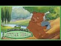 Little Bear Cat S Short Cut Little Bear S Bad Day Captain Little Bear Ep 17
