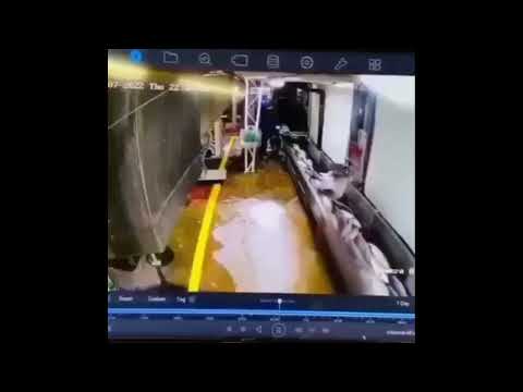 YOU KNOW WHAT THAT MEANS, F I S H