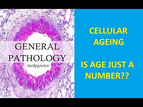 GENERAL PATHOLOGY II CHAPTER 2 II CELL INJURY II PART 1 II ROBBINS PATHOLOGY