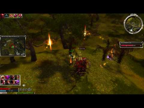 AE Tahkayun Tsi & Mantid Farm HM WS/HD