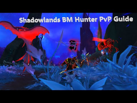 BM hunter Shadowlands PvP Guide