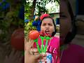 Aha Tamatar Bade Majedar Funny Shorts Trending