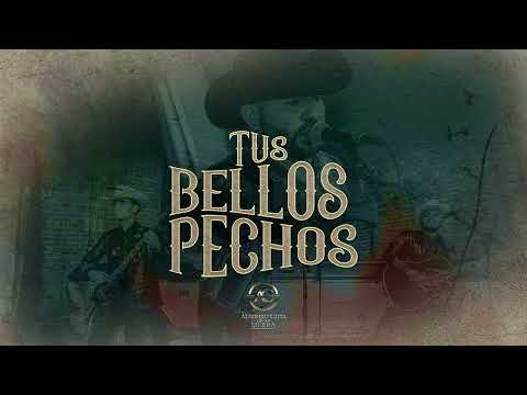 Tus Bellos Pechos - Alfonso Cota Y Los De La Sierra [AUDIO]