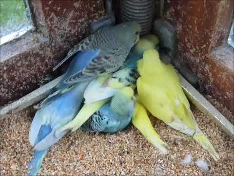 2017 11 27 Kuschelecke