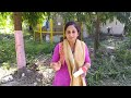 DOGS KI SEVA