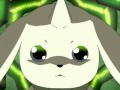 EVO (Digimon Tamers Evolution Theme)
