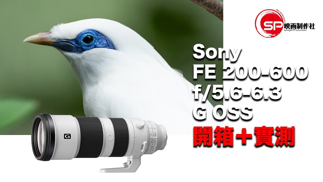 【攝影跌貨王】Sony FE 200-600 mm f/5.6-6.3 G oss 開箱實測 | #廣東話youtuber #攝影 #Sony #sonyA7