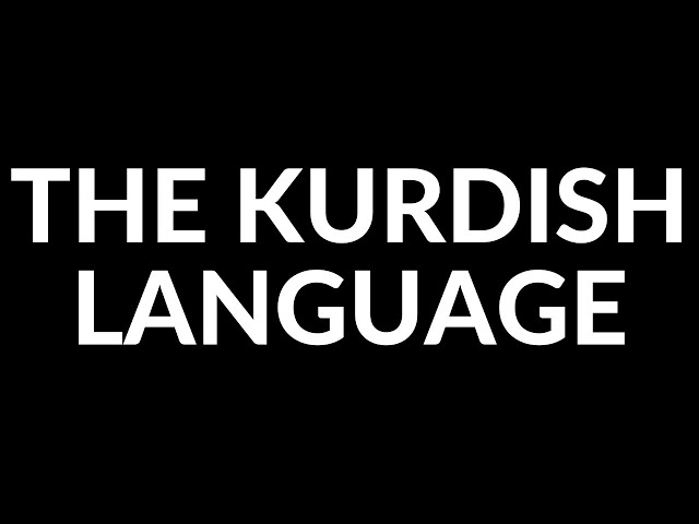 Videouttalande av Koerdische Holländska