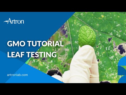 Artron Laboratories Inc. GMO tutorial - Leaf testing  | Artron Laboratories