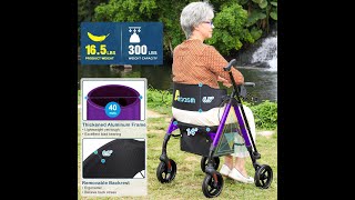 Muka AKSO-300 Rehabilitation Walker Pro