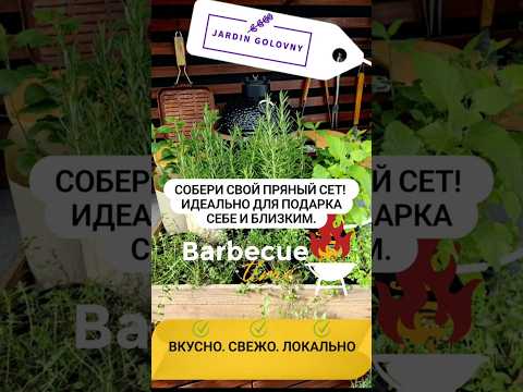 фото набор пряных трав в горшке 0