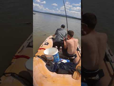 Upecan som u Dubovcu