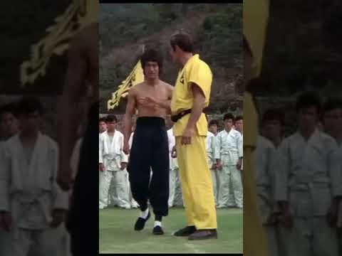 Bruce Li: The Fight Back Begins