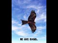 Eagle Motivation Be Like Eagel Eagle Whatsapp Status Tamil