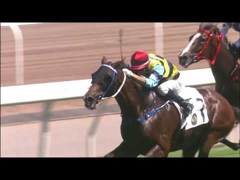 11/7/2021 (821) Green Envy - J Moreira