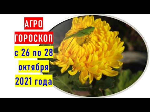 , title : 'Агрогороскоп с 26 по 28 октября 2021 года ПЛЮС'