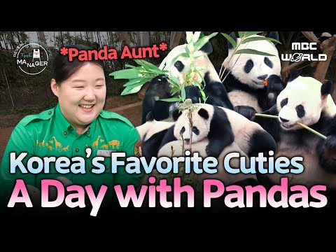 3384k Panda Everland