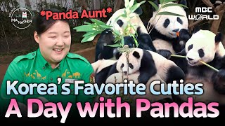 [SUB] Spending the Day with Korea’s Beloved Pandas🐼 | #Panda #Animals
