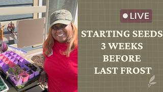 Starting Seeds 3 Weeks Before Last Frost Date| Weekly Seed Starting Challenge