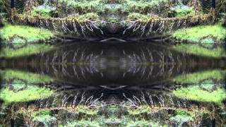 Nervasystem - Rishikesh
