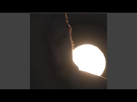 Ânsia De Viver - Tiago Amador