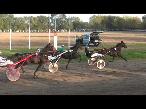 Trka "Bata General" 01.11.2020 Iago d'Amore -Dejan Katanić