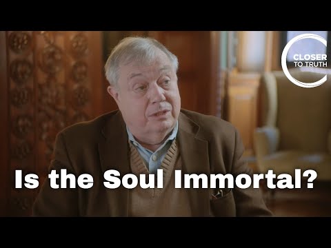 Peter van Inwagen - Is the Soul Immortal?