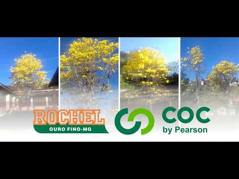 DMAAE OURO FINO EM FOCO - 22-03-2018