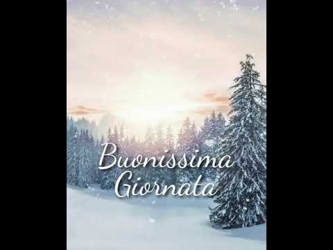 Video Buonissima giornata invernale con neve
