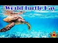 World Turtle Day