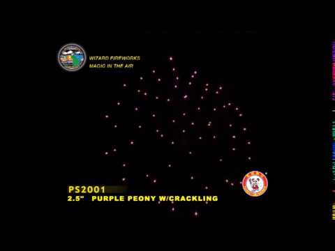 SA065PE12 - 2.5" SHELL - WIZARD FIREWORKS - PS2001