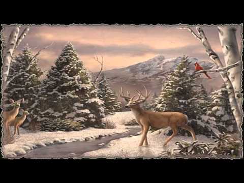 Wenns üba nocht anfängt zu schnein    -  Melissa Naschenweng.wmv