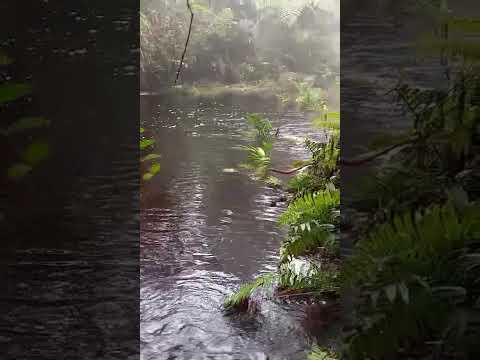 Aguas Rojas es Betulia Santander.
