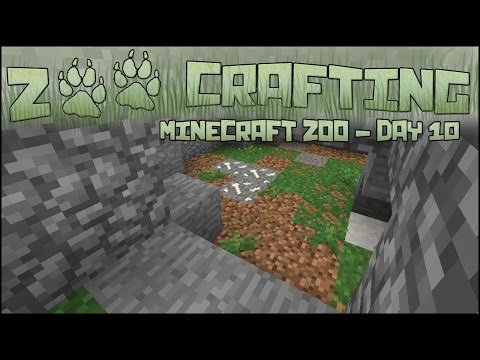 Carving Out the Red Wolf Den! 🐘 Zoo Crafting: Season 2 - Episode #11